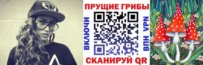 где продают наркотики  Благодарный  Псилоцибиновые грибы прущие грибы 